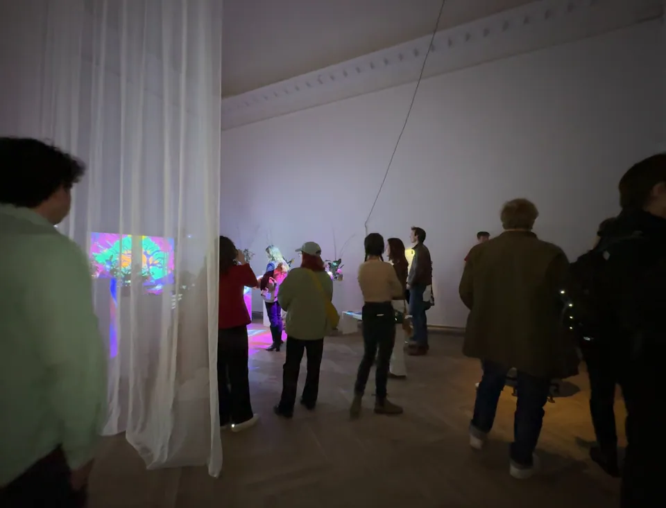 Visitantes caminan por una galería con cortinas blancas colgadas y luz de colores.